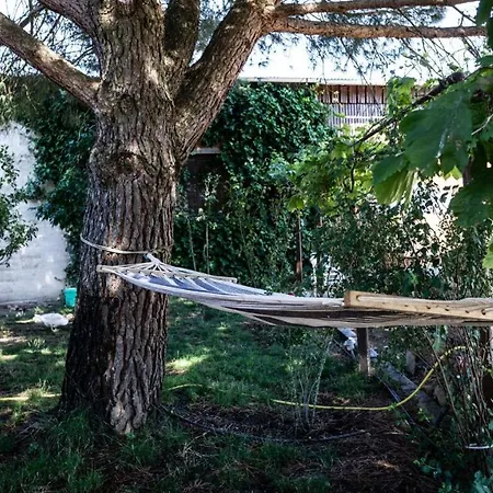 Charming Near With Shared Pool * Vitigudino